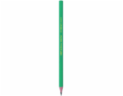 Evoluce Ecolutions Bic Pencil Evolution HB bez gumy (47K006B)
