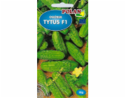 Polan Cucumber Ground Tytus - Hybrid Seeds 3g Pola