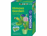 Sada pro pěstování rostlin Kosmos Mimosa Garden