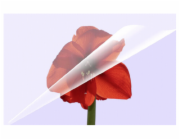 1x100 Olympia Lamin. folie DIN A6 80 micron            9168