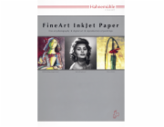 Hahnemühle Museum Etching    A 4 naturweiß, 350 g, 25 Blatt