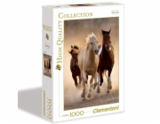 Delione Clementoni 39168, 1000 ks.