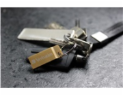 VERBATIM USB Flash Disk METAL EXECUTIVE USB 3.0, 16GB - GOLD