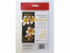ARMOR MORE Fotopapír Exclusive 260g,10x15 / glossy,20 lis...