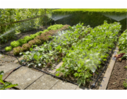 GARDENA 13015-20 Systém Micro-Drip základní sada pro rostliny na ploše 13 mm