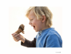 Schleich Wild Life Lev, rvouci