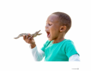 Schleich Krokodýl