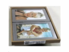 Delock Adapter HDMI-A male > VGA female - Video adaptér -...