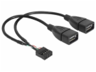 Delock - Kabel z USB iinterní na externí - USB (F) do hla...
