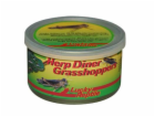 Lucky Reptile Herp Diner - sarančata 35g cca 50 středních