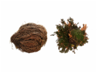 Lucky Reptile "Rose of Jericho" 50 g