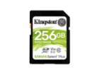 Kingston Canvas Select Plus - Paměťová karta flash - 256 ...