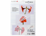 1x25 Olympia Lamin. folie DIN A3 80 micron            9180