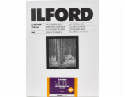 1x100 Ilford MG RC DL 25M  18x24