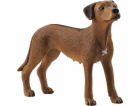 Schleich 13895 Farm World Rhodesian Ridgeback
