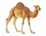 Schleich 14832 Wild Life Dromedary