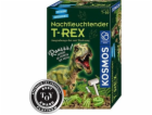 KOSMOS Noctilucent T-REX, experimentální box