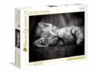 Clementoni Puzzle 1000 dílků - vysoce kvalitní kolekce. K...