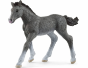 Schleich Horse Club     13944 Trakehner Foal