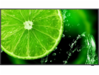 NEC LFD 43" MultiSync E438, IPS, 3840x2160, 350nit, 1200:...