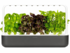 Smart Garden 9, šedá