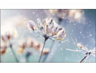 SAMSUNG LFD 46" - LH46VMBUBGBXEN Video wall