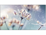 SAMSUNG LFD 46" - LH46VMBUBGBXEN Video wall