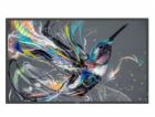 Philips LCD 86BDL3550Q  - 86" Q-Line; 18/7, 4K UHD, IPS, ...