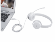 Lenovo 110 Stereo USB Headset