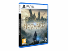 HRA PS5 Hogwarts Legacy