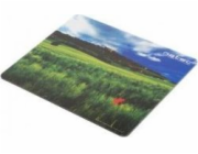 Natic ??Natec Pad Mouse Pad Foto Itálie 220x180mm 10-pack