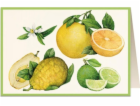 Karta Tassotti B6 + obálka 5851 Citrus
