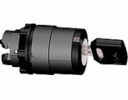 Schneider Electric Switch Drive 2 Místo s klíčem Ronis 455 bez sebevědomí (ZB5AG2)