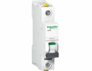 Schneider Electric, přepínač s nadproudem 1P D 25A 6KA AC IC60N - A9F05125
