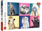 Puzzle koťata 500 prvků