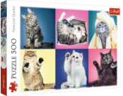 Puzzle koťata 500 prvků