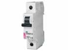 Eti-Polam Jistič ETIMAT10 1P C 10A 10kA AC - 002131714