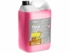 Clinex Universal Clinex Floral Blush 5L kapalina pro čišt...