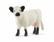 Schleich Farm World Galloway kráva, figurka na hraní