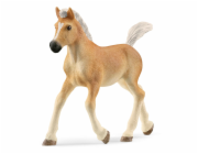 Schleich Horse Club Haflinger Foal 13951