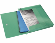 Esselte box na spisy Colour Ice, zelený