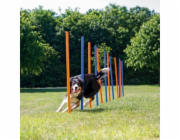 Trixie SKILL POSTS 12 KS.1,15M 3