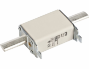 ETI-I ukončit pojistku vložení NH1C 100A GG/GG 500V WT-1C 004184214