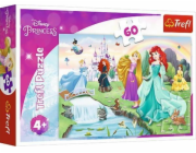 Trefl Puzzle 60 dílků Seznamte se s princeznami 17361 TREFL