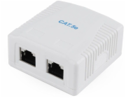 GEMBIRD NCAC-2F5E-01 CAT5E FTP 2-port surface mount box