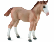 Collecta Figurine Red Dun Foal (004-88814)