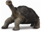 Collecta Turtle Collecta Figurine z ostrova Pinta (004-88...