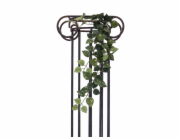 Pothos trs střední, 70 cm