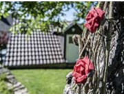 Girlanda z růží, červená, 145 cm