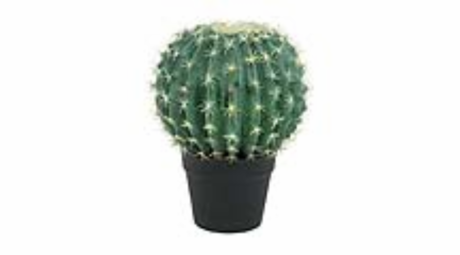 Kaktus v květináči, 34 cm